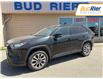 2021 Toyota RAV4 XLE in Paisley - Image 1 of 10