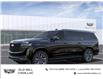 2024 Cadillac Escalade ESV Sport (Stk: RR273442) in Toronto - Image 2 of 24
