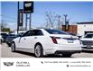 2020 Cadillac CT6 3.6L Luxury (Stk: 101684U) in Toronto - Image 5 of 23