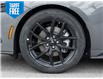 2025 Ford Mustang EcoBoost Premium (Stk: 25M2807) in Mississauga - Image 9 of 29