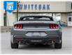 2025 Ford Mustang EcoBoost Premium (Stk: 25M2807) in Mississauga - Image 12 of 29