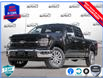 2024 Ford F-150 XLT (Stk: FG222) in Sault Ste. Marie - Image 1 of 25