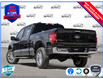 2024 Ford F-150 XLT (Stk: FG222) in Sault Ste. Marie - Image 4 of 25