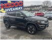 2018 Jeep Compass Trailhawk (Stk: 161560) in London - Image 26 of 26