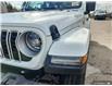 2025 Jeep Wrangler Sahara (Stk: 161825) in London - Image 8 of 25