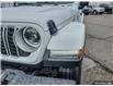 2025 Jeep Wrangler Sahara (Stk: 161977) in London - Image 8 of 25