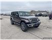 2025 Jeep Wrangler Sahara (Stk: 161978) in London - Image 26 of 26
