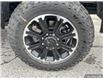 2025 RAM 2500 Rebel/Power Wagon (Stk: 161819) in London - Image 5 of 22