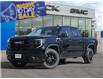 2025 GMC Sierra 1500 Pro (Stk: 40201) in Georgetown - Image 1 of 30