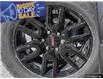 2025 GMC Sierra 1500 Pro (Stk: 40201) in Georgetown - Image 9 of 30