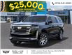 2024 Cadillac Escalade ESV Premium Luxury Platinum (Stk: 546) in Sarnia - Image 6 of 24
