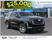 2024 Cadillac Escalade ESV Premium Luxury Platinum (Stk: 546) in Sarnia - Image 7 of 24