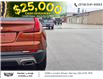 2021 Cadillac XT4 Premium Luxury (Stk: 501421) in Sarnia - Image 11 of 42