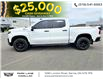 2022 Chevrolet Silverado 1500 LTD LT Trail Boss (Stk: 501466) in Sarnia - Image 4 of 43