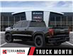 2025 GMC Sierra 1500 Pro (Stk: 250179) in St. John’s - Image 3 of 6