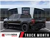2025 GMC Sierra 1500 Elevation (Stk: FCTSND) in St. John’s - Image 3 of 6