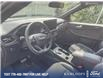 2024 Ford Escape ST-Line Elite (Stk: 0J4308) in Kamloops - Image 13 of 26