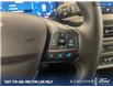 2025 Ford Bronco Sport Big Bend (Stk: 0S5060) in Kamloops - Image 16 of 26