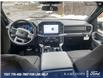 2025 Ford F-150 XLT (Stk: 0T5072) in Kamloops - Image 25 of 26