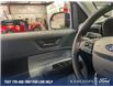 2025 Ford Maverick XLT (Stk: 0P5152) in Kamloops - Image 17 of 26