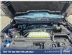 2025 Ford F-150 XLT (Stk: 0T5175) in Kamloops - Image 10 of 26