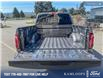 2025 Ford F-150 XLT (Stk: 0T5175) in Kamloops - Image 12 of 26