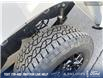 2025 Ford F-150 XLT (Stk: 0T5212) in Kamloops - Image 7 of 26