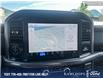 2025 Ford F-150 XLT (Stk: 0T5212) in Kamloops - Image 19 of 26