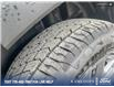 2025 Ford Bronco Sport Big Bend (Stk: 0S5273) in Kamloops - Image 7 of 26