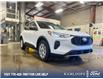 2025 Ford Escape Active (Stk: 0J5266) in Kamloops - Image 6 of 26