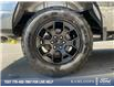 2025 Ford F-150 STX (Stk: 0T5285) in Kamloops - Image 6 of 26