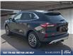2025 Ford Escape PHEV (Stk: 0J5287) in Kamloops - Image 4 of 26