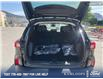 2025 Ford Escape PHEV (Stk: 0J5287) in Kamloops - Image 12 of 26