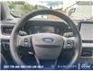 2025 Ford Maverick XLT (Stk: 0P5294) in Kamloops - Image 14 of 26