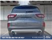 2025 Ford Escape Active (Stk: 0J5331) in Kamloops - Image 5 of 26
