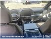 2025 Ford F-150 STX (Stk: 0T5442) in Kamloops - Image 24 of 26