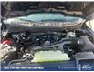 2025 Ford F-150 STX (Stk: 0T5562) in Kamloops - Image 10 of 25