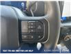 2025 Ford F-150 STX (Stk: 0T5562) in Kamloops - Image 16 of 25