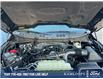 2025 Ford F-150 XLT (Stk: 0T5675) in Kamloops - Image 10 of 25