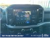 2025 Ford F-150 XLT (Stk: 0T5675) in Kamloops - Image 19 of 25