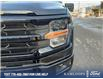 2025 Ford F-150 XLT (Stk: 0T5719) in Kamloops - Image 8 of 25