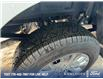 2025 Ford F-150 XLT (Stk: 0T5716) in Kamloops - Image 7 of 25