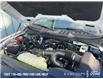 2025 Ford F-150 XLT (Stk: 0T5716) in Kamloops - Image 10 of 25