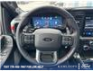 2025 Ford F-150 Raptor (Stk: 0T5723) in Kamloops - Image 14 of 25