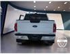 2022 Ford F-150 XLT (Stk: 11954) in Golden - Image 6 of 17
