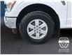 2022 Ford F-150 XLT (Stk: 11954) in Golden - Image 16 of 17