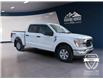 2022 Ford F-150 XLT (Stk: 11954) in Golden - Image 3 of 17