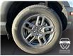2025 Ford Bronco Sport Big Bend (Stk: 11884) in Golden - Image 16 of 17