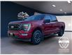 2022 Ford F-150 XLT (Stk: 11840) in Golden - Image 1 of 16