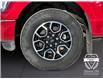 2022 Ford F-150 XLT (Stk: 11840) in Golden - Image 15 of 16